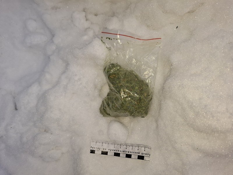 Нижнетагильские транспортные полицейские задержали вахтовика, подозреваемого в незаконном обороте наркотиков