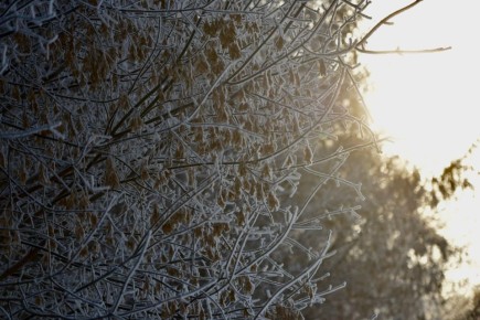 ��������� �������� ������ �� �������������� ������������ ������� ���� ������������� ����� �� 7 �������� � ����� ��������� �� ���������� ������������ ������� 14�17 ������