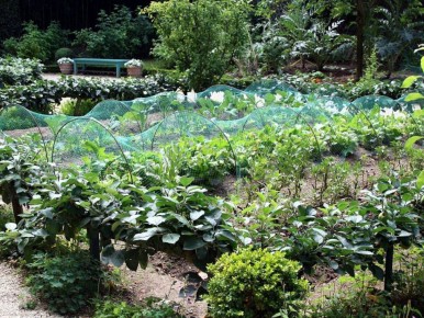 ��� �������� �������� � ����� ������������: �������� ������ ��� ���������