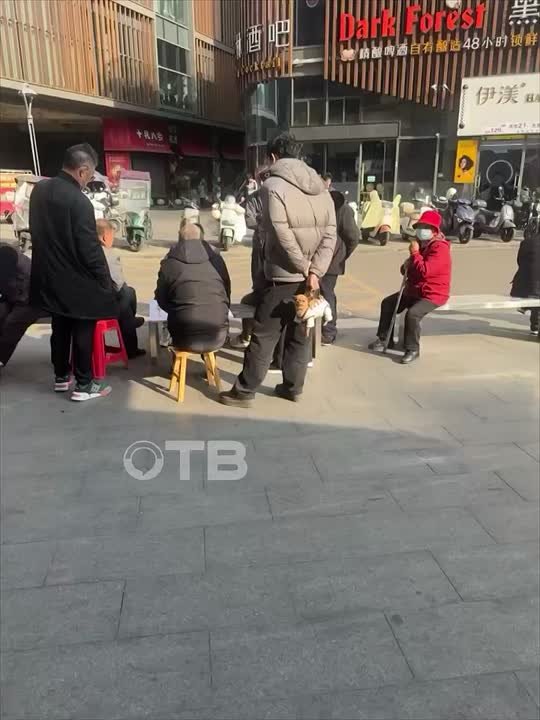 Рабочая неделя почти закончилась, а вы все еще чувствуете себя как эта собачка и ничего не понимаете?