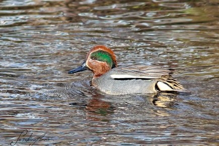 �� ������, ��� �������� �� ��������? ����� ������� ������� ����