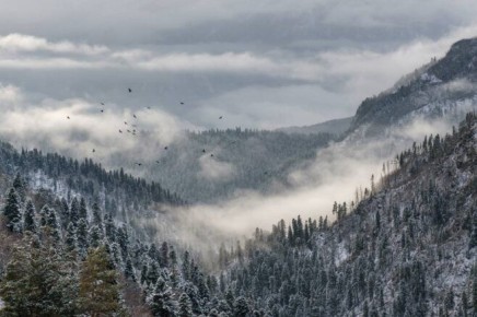 ����������� ��� �������: ���������������� ������� ����� �������� ������� ���������� ����������