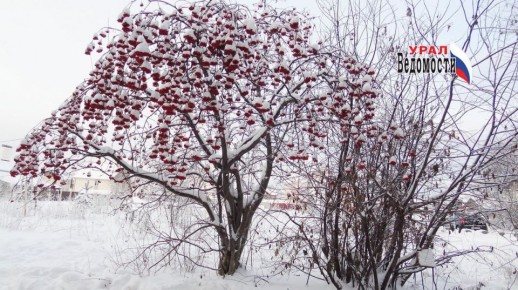 ������ ����, ����! ������� � ��� ��������� �������