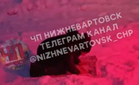 ��������������� �������� �� ������ ���������� � ������� � ����� ��-�� �������