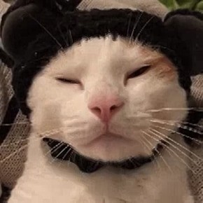 �������� � ������������ ������� ����� �������