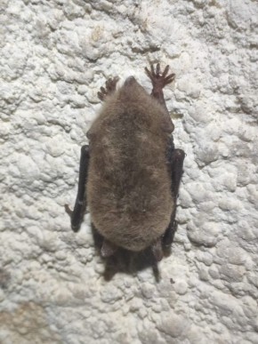 ������������ ������ ��������� ������� ������ ������������� ����� ������� �����, ������� ������� � �������