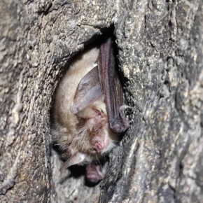 � ������������ ������� ������� ��� ��������� ������ ������� �����