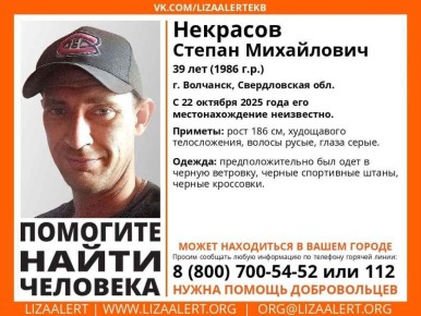 �������� ����� ��������. ������ ��������, 39 ���, ������ ���������