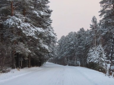 ����� ������ ������� �� �������� ����� ��������� � ���������� ��������� ������ ������������ �������