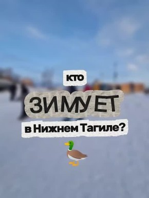 ��������� ������: ������ �������� �������� � ��� �������� � ������ ������