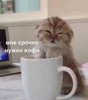 ���� ��������� ������� ���������� �������!