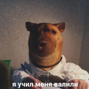 � ������������ ������� ����� ������� ������ �� ���������