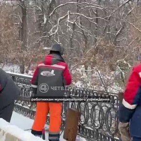 ������ �������� ���������� � ������� ����