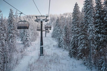 ����� ������ �������, ��� ����� 320����