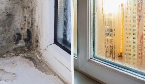 ��� ������������� �������: ������ �� ������������� �����