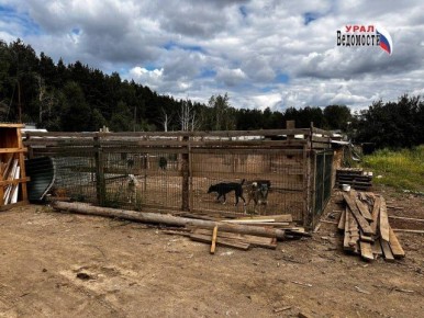 ����� �� ������������ ����������� �������� �������� �� ������� 2026 ����