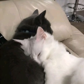 ������������� ���� ������� ���������� �������!