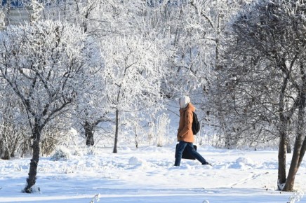 � ������������ ������� ��������� ������� ������ 21�25 ������