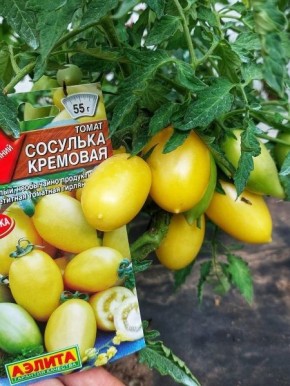 ����� �������� ��������: ���������� ��������� ������ � ������