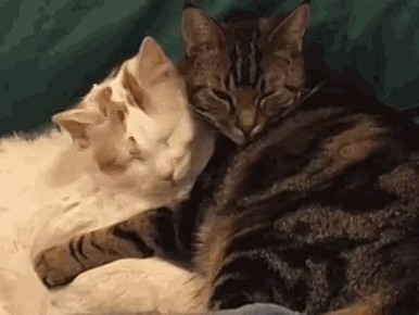 ������� � ���� �������, � ��� �������� ����� ��������� �������, ��� ��� �����