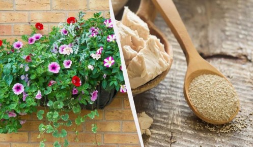 ������ ������������� �������� �������: ��� ������ �������� ����� �� �����