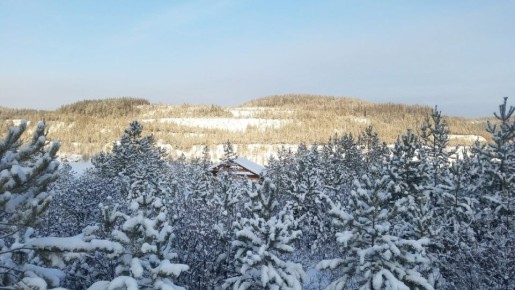 ��� �� ���� � �������: �������� ������������ ������� �������� ����� 19 ����� �������������� � 2026 ���� ��� ������ �����