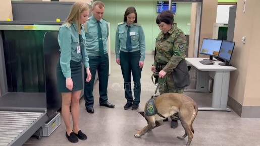 ��� ��� ��������: ������� ���� � ������������ ������� ������� �� ������ ��������� ������ ��������