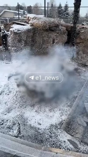 15 лошадей погибли в пожаре под Екатеринбургом