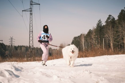 � ������������� ������� ������������ �� ���� ������ � ������������� ��������