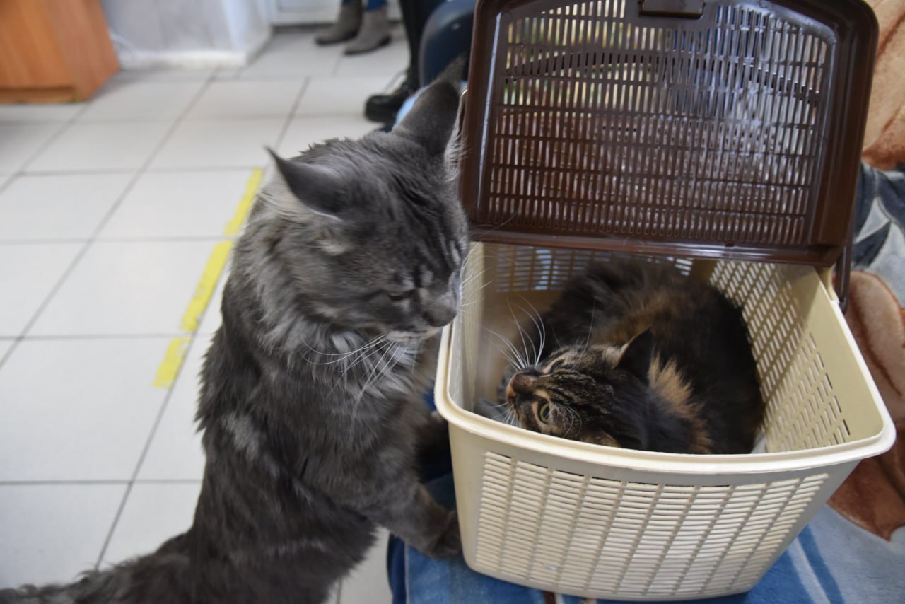 В 2025 году в уральских поездах дальнего следования перевезли более 5,8 тыс