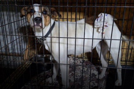 ������: � ������������� ������� ������, ������� 8 ��� ����� ������ � ����������