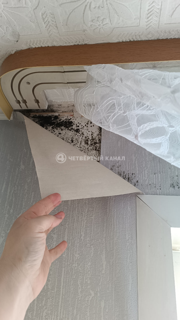 На окнах - лед, на стенах - плесень: жители Камышловского района жалуются на холод в домах На окнах - лед, на стенах - плесень: жители Камышловского района жалуются на холод в домах