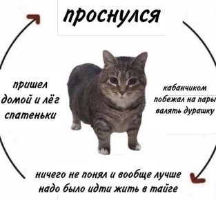 ������� ���� ��������. �������� ������ (����� ����, ������� � ���� � ��� � ���� � ��������) �� ���, ��� ����� ������: � ����� ��������, ������� ����� ������ �� ��� (� �� ������ �����)