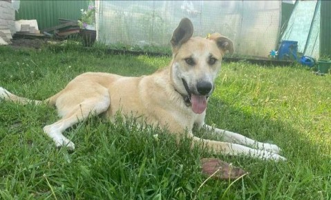 ����� � �������� ����� ���� ��� ����� ������ ����� �������-���������