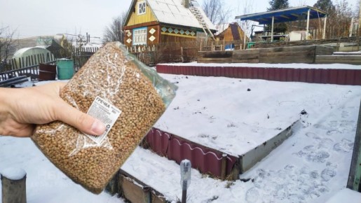 Три простых крупы, чтобы сделать землю плодородной