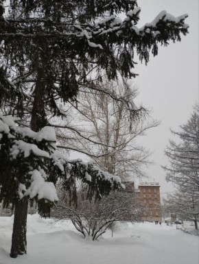 Доброе утро! #нижнийтагил