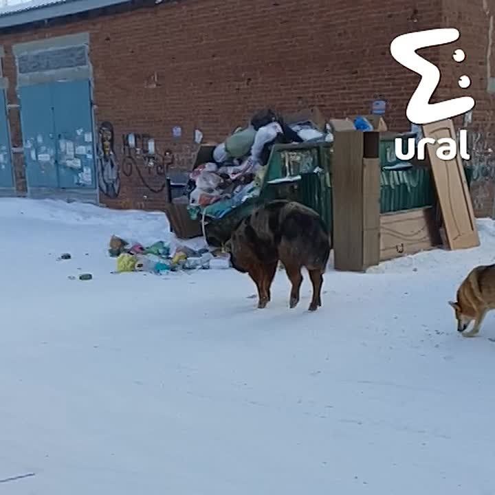 ���������� ������ � ������ ���������������� � ��������� ������� � ��������� �� ��������