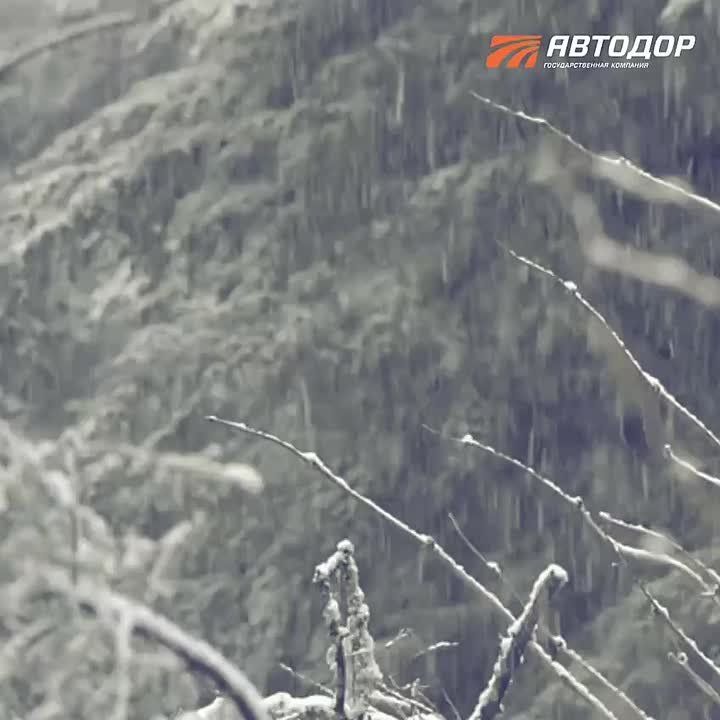 �������� ��������!. �� ���� ����������� �������� � ��������� ����� ������������� ����� 300 ������ �������, �� ��������� ����� ������������ ����� 8 ����� ���� ����������������� ����������