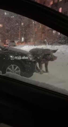 ������ ����������, ������ ���� ����� ���� ����� � ���-�� ������ � ������������ �������