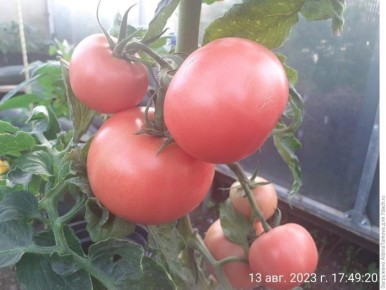 ����� ������� ������: ������������� ������ ��� ������ � ������������ ������