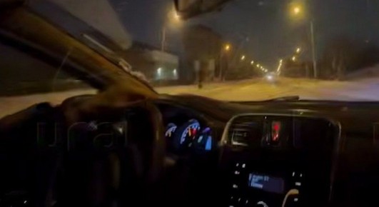 �����-������� ���������� ������� ���� � ������ �������������