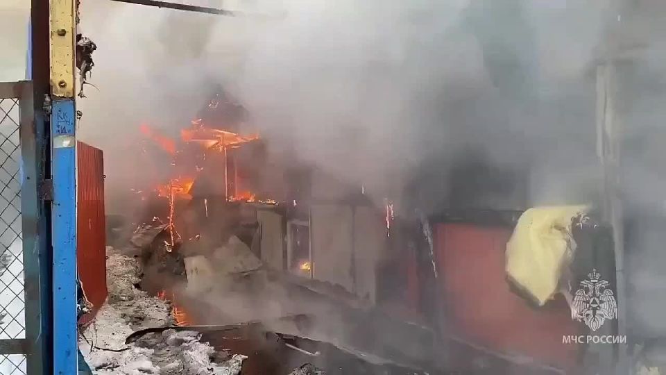 ��� ���� ������� ����� � ������������ ������� ����������� ���������