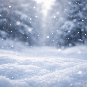 29 ������ ��������� ������������ ��������������� ������������ � ������� ������, ������� � �������� ��������