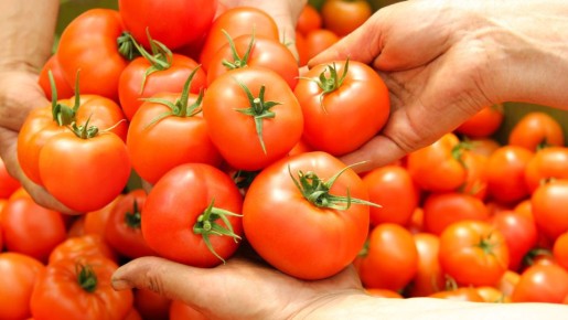 ���� ������ � ������ �������: ��� ���������� �������� ����������� � ������� ������� �����