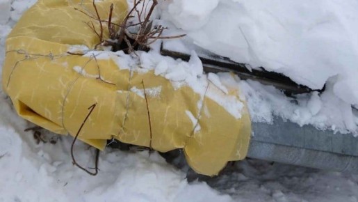 � ����� ����������� ��� ���� ���������, ��������� ���������� �� ��������