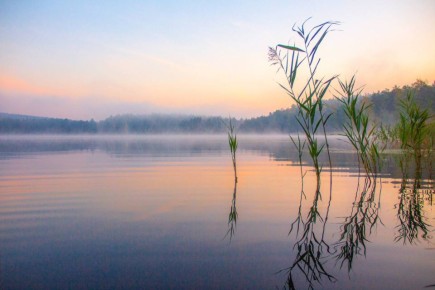 ������� �� ��������� � �������� � ������ ������ �������� ��������� � ������� � ���� ����