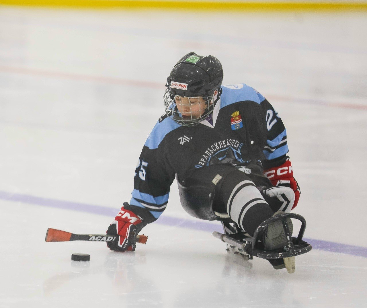 Губернатор Свердловской области Денис Паслер подарил 12 билетов на Матч звезд КХЛ представителям команды по следж-хоккею «Уральские волки» и юному свердловчанину, который отправил свою мечту на акцию «Ёлка желаний» Губернатор Свердловской области Денис Паслер подарил 12 билетов на Матч звезд КХЛ представителям команды по следж-хоккею «Уральские волки» и юному свердловчанину, который отправил свою мечту на акцию «Ёлка желаний»