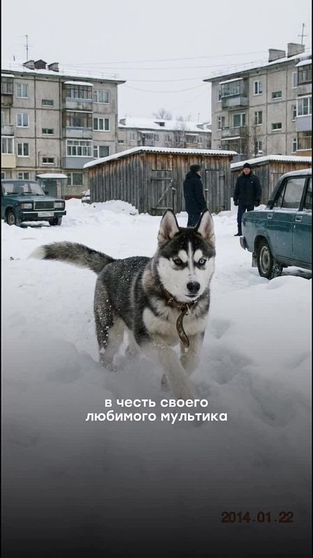 �������� �� ������������� � ������ �� ���� ��������� �������