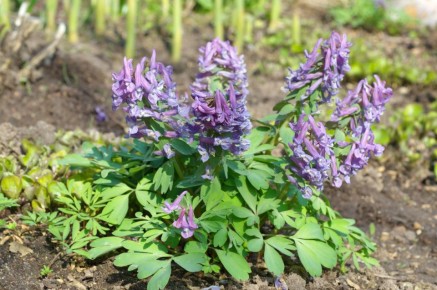 �������� ���������: �������� ������� ��� ������� ����� � ������