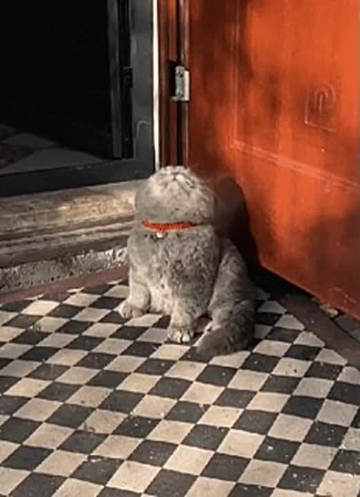 � ������������� ��������� �� -3 ��������